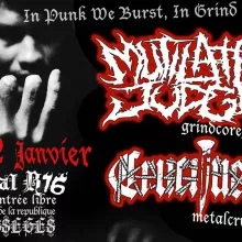 Concert Grindcore et metal crust